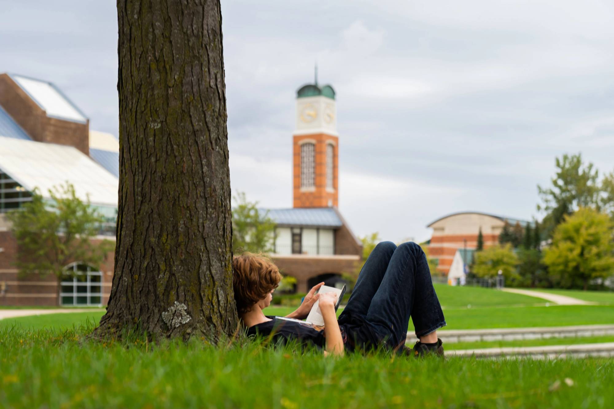A person works on an iPad while laying under a tree near the Cook Carillon Tower
